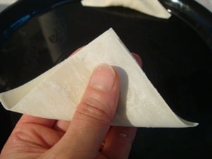 wonton folded in half to make triangle 