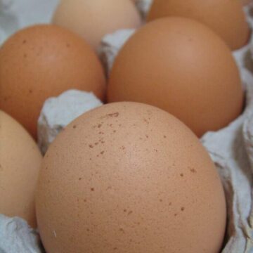 organic eggs