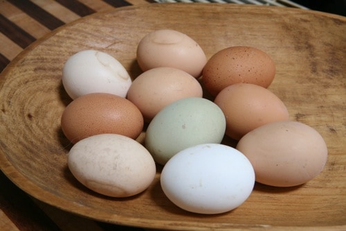 eggs in wooden bowl