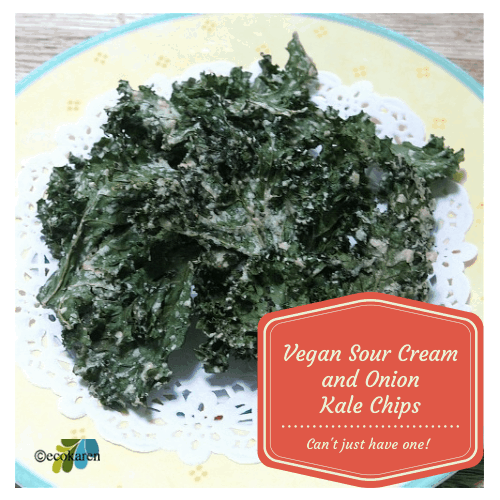 Dairy Free "Sour Cream" and Onion Kale Chips by drkarenslee