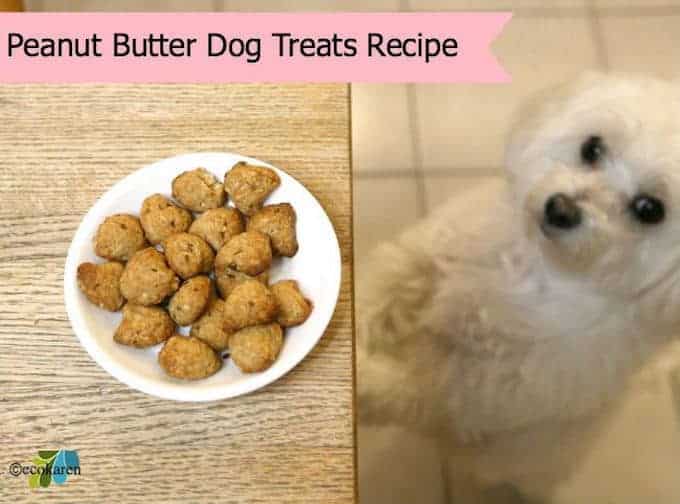 healthy dog treats