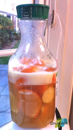 citrus enzyme cleaner fermenting in bottle