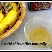 get rid of fruite flies naturally