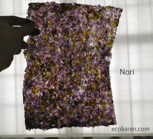 Dried purple Nori