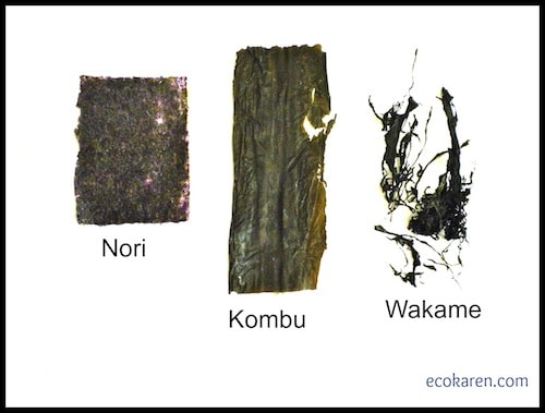 Dried Nori, Kombu, and Wakame