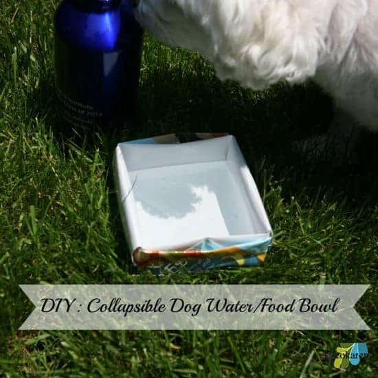 Collapsible Dog Bowl