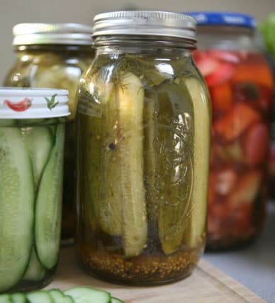 Homemade pickles in mason jars next to other pickled vegetables in mason jar