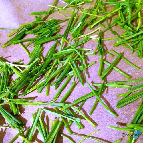 dehydrating chives 
