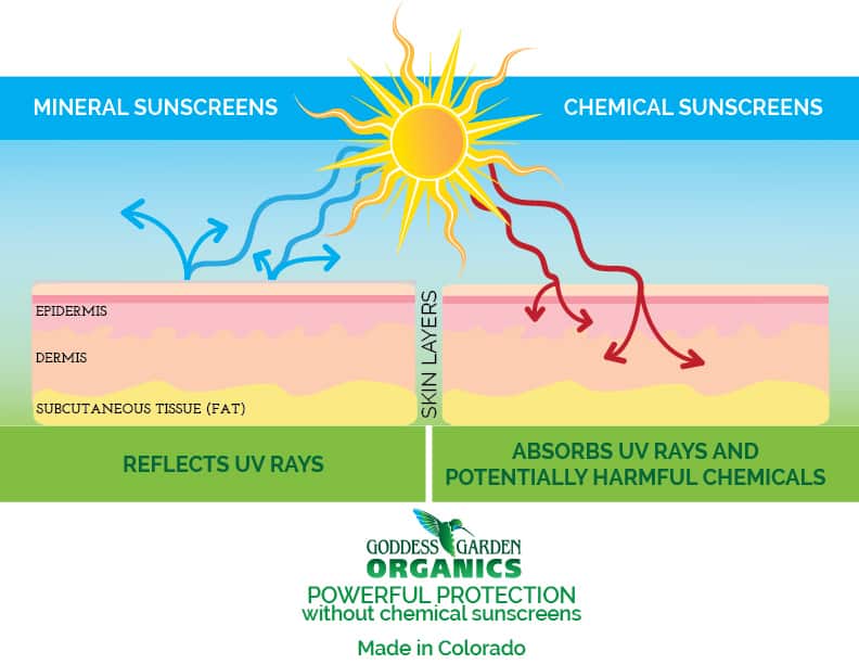 chemical-vs-mineral-sunscreen