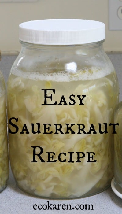 Sauerkraut fermenting in large glass jar