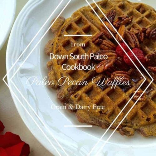 Paleo Pecan Waffles from Down South Paleo Cookbook Dr. Karen S. Lee