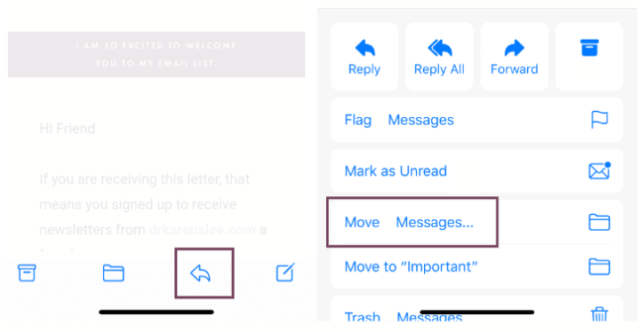 To move your email from iPhone SPAM to your inbox click on the arrow at the bottom of the email, then select "Move Message" and choose inbox.